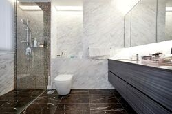 Amber Skye (D15), Apartment #472223651